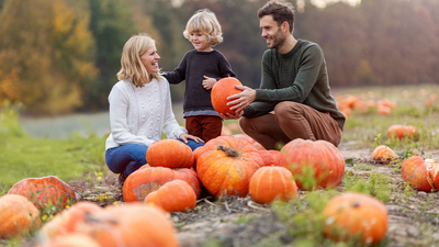 Familie im Kürbisfeld freut sich über Ernte